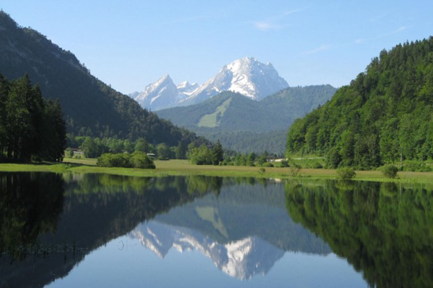 Wasser-Spiegelung - Motiv mit Götschen und dem Watzmann